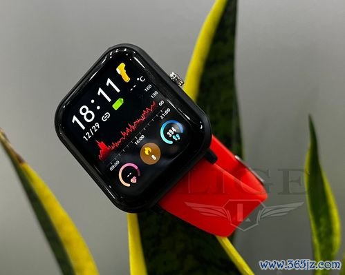 欧易智能手表app下载_易欧有官网地址吗